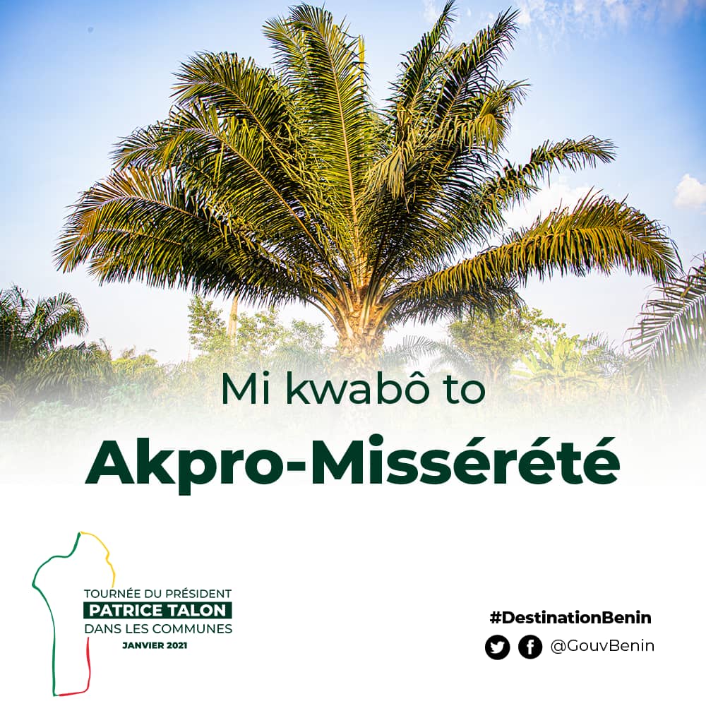 Akpro-Missérété, la diversité 